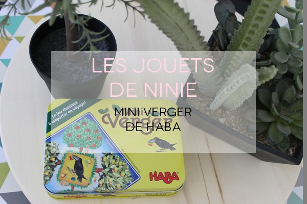 mini verger haba (4)