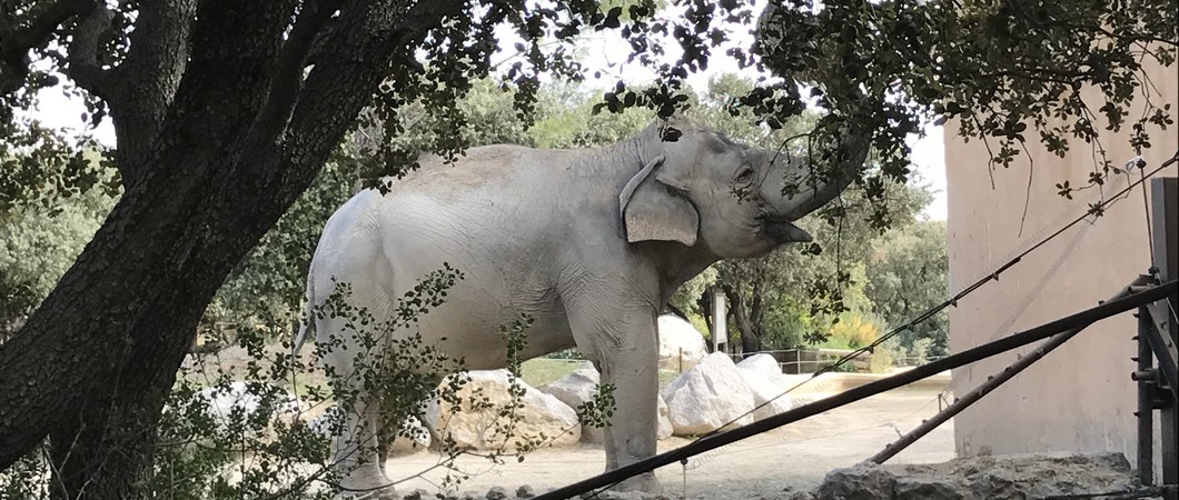 Nos Escapades #26: Le Zoo de la Barben