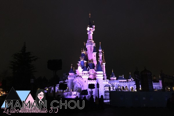 disneyland paris en amoureuses (133)