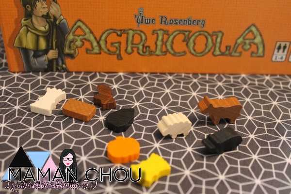 agricola (12)